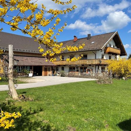 Ferienwohnungen Dopplerhof Piding Exteriör bild